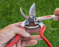 Cómo Mantener y Afilar tus Herramientas de Jardín