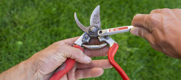 Cómo Mantener y Afilar tus Herramientas de Jardín