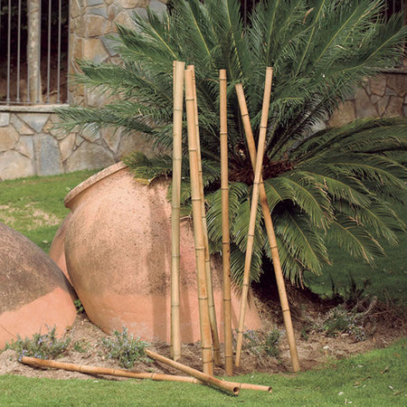 Catálogo de Tutores para plantas y árboles