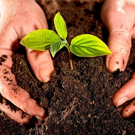 Catálogo de Abonos y fertilizantes para flores y plantas