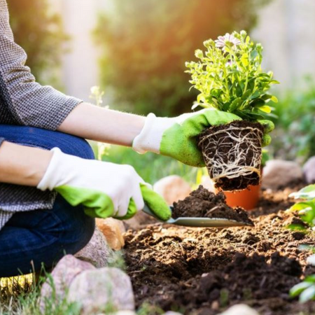 Catálogo de Accesorios para trabajar en el jardín