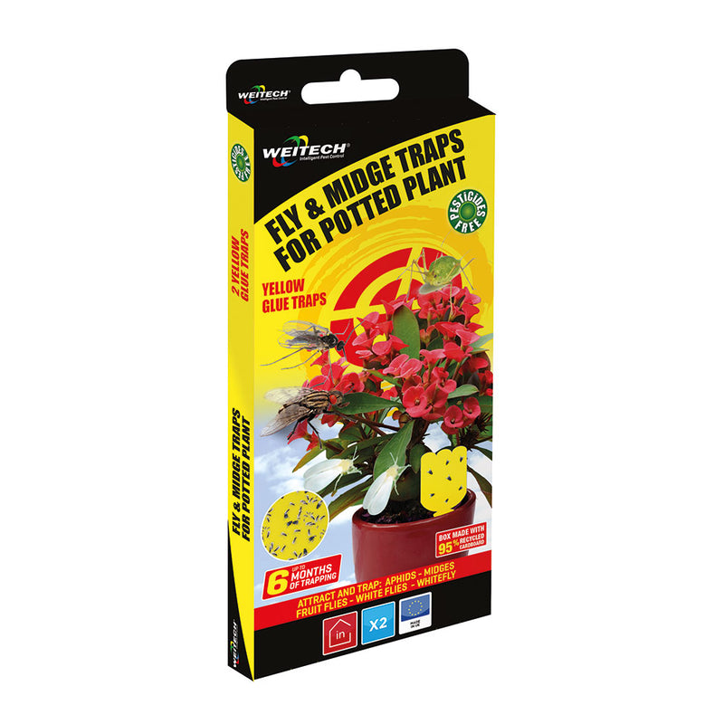 Mosquito and Fly Trap Special Pots 2 Units, Weitech