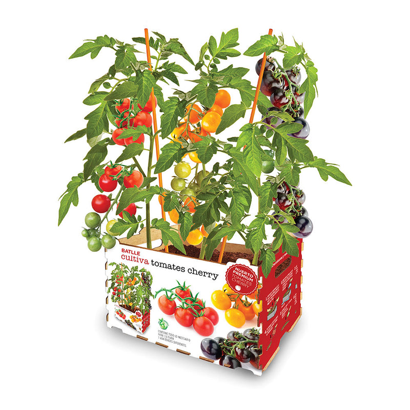 Caja Con Tomates De Colores Batlle