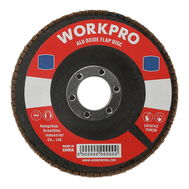 Flat Sheet Disc Ø100X16Mm 80 G. Workpro