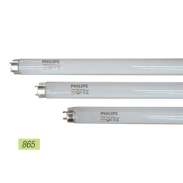 Tubo Fluorescente 18W Trifosforo 865K Modelo: T8 Luz Fria, Philips