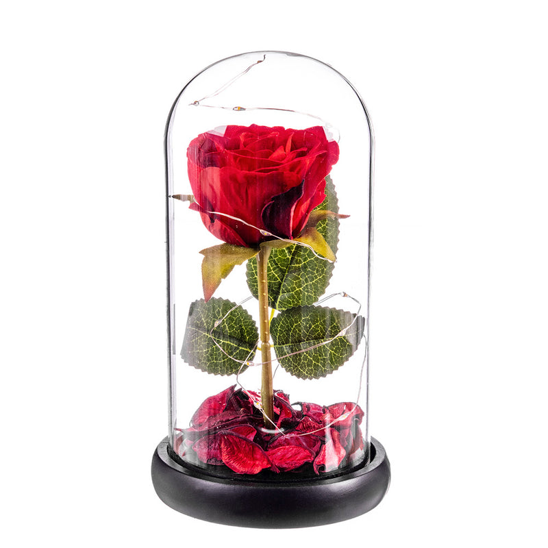 Rosa Roja Eterna Leds Cupula Cristal 20  Cm Caison