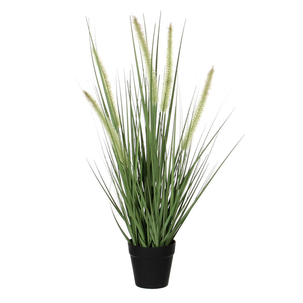 Dogtail Grass Purple PVC