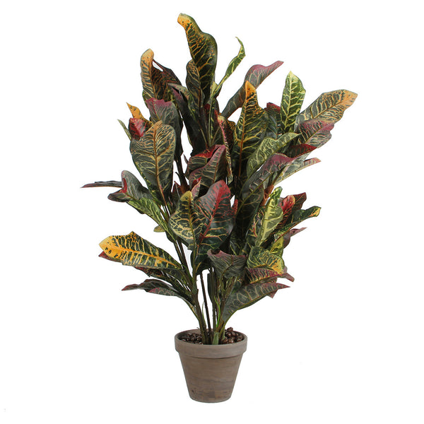 Green Croton PVC With Gray Pot