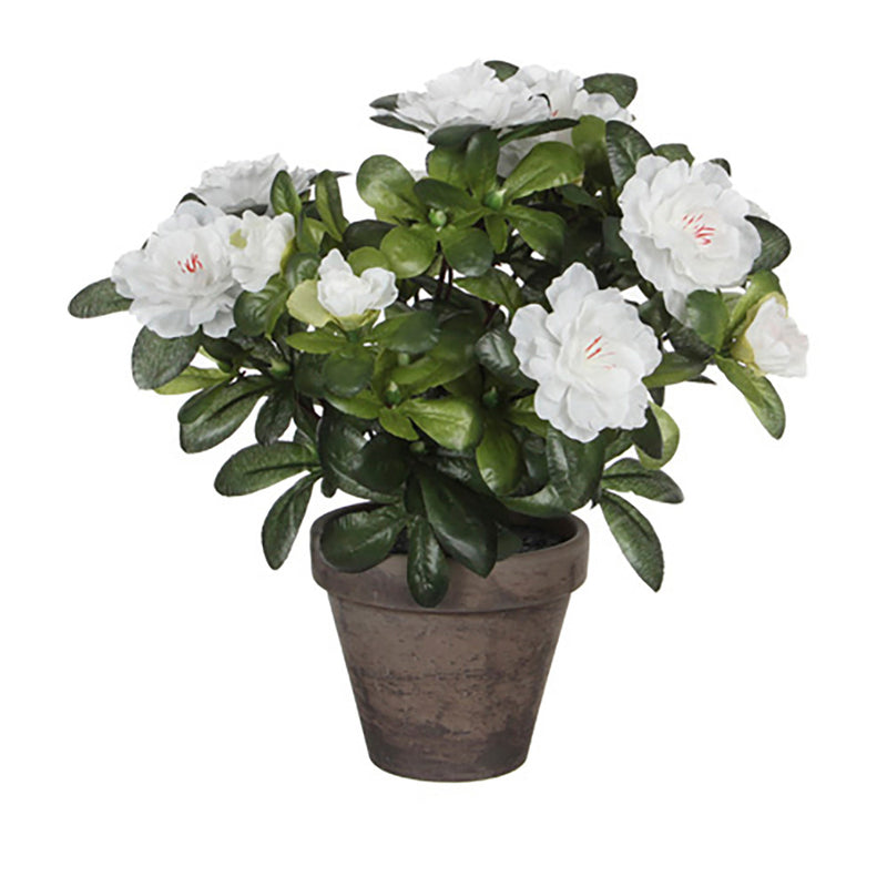 White Artificial Azalea In Grey Pot Ø11.5X27Cm