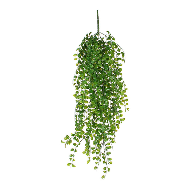 Hanging Ficus Green Color 81cm