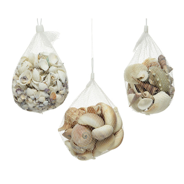 Assorted Decorative Shells and Clams 400g