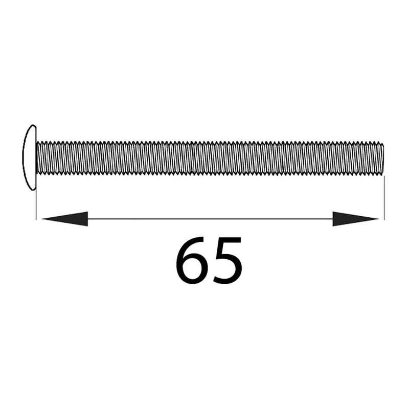 Blister Tornillo Cilindro Trn16 M5X65Mm Ltd Edm