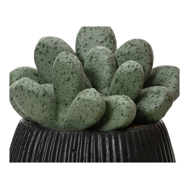 Artificial Cactus Assorted Models 14cm 808448