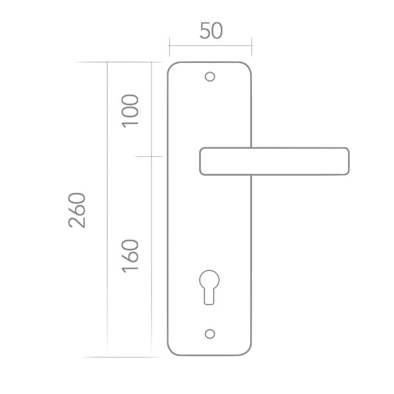 Model '8003' handle with 85 keyhole and stainless steel rectangular plate for doors 